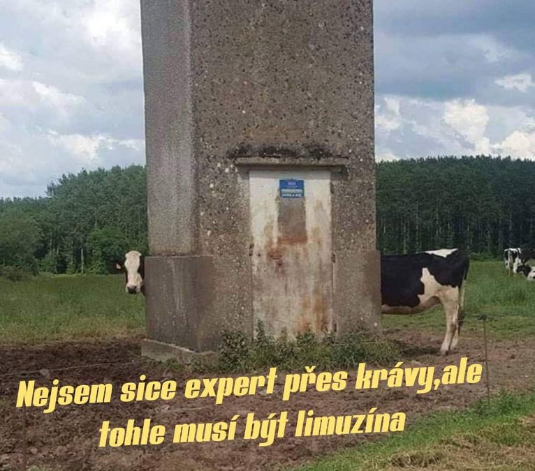 Kráva combi….