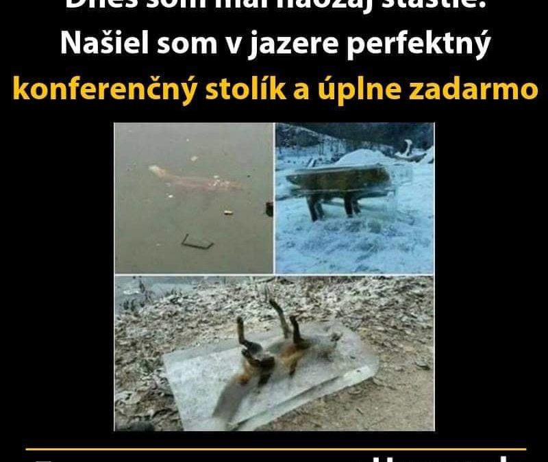 Přírodní konferenční stolek