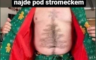 Dárek je pod stromečkem