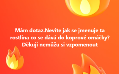 Poradíte s koprovou omáčkou?