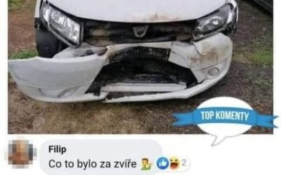 Co to bylo za zvíře?