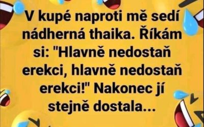 Ve vlaku