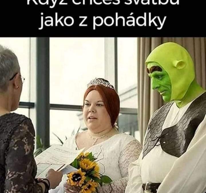 Když chceš svatbu jako z pohádky