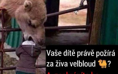 Vaše dítě je právě požíráno, co uděláte?