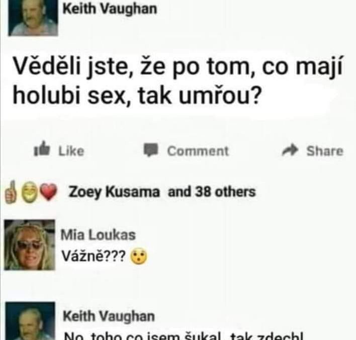 Zajímavost o holubech