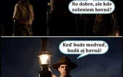 Jak na medvěda