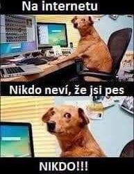 Nikdo to neví