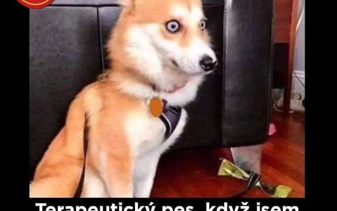 Nový terapeut