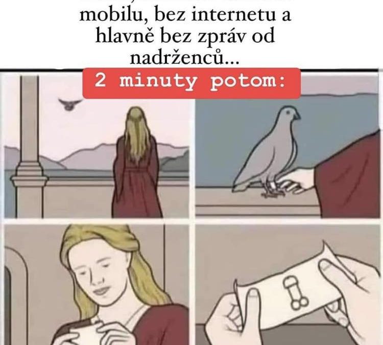 Konečně offline