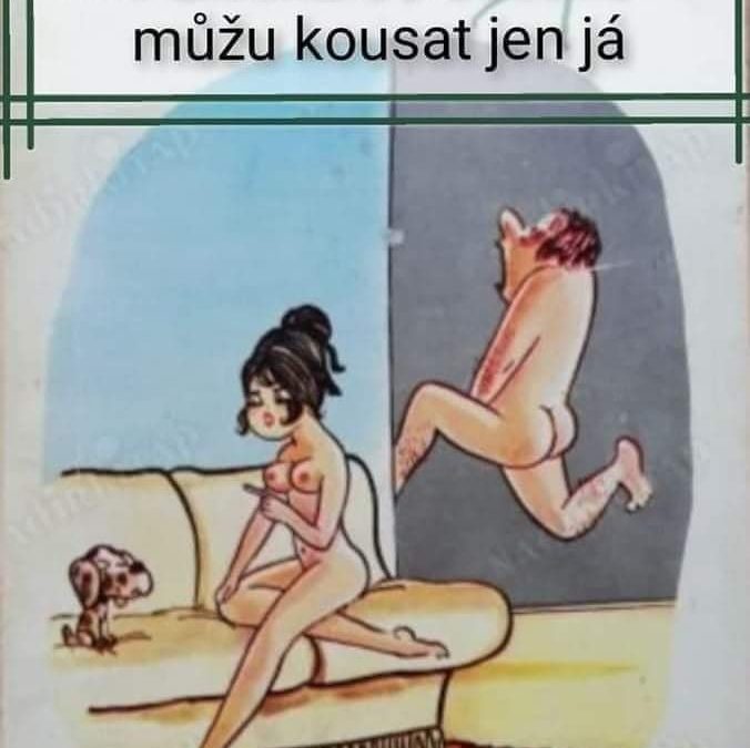 Ošklivý pejsek