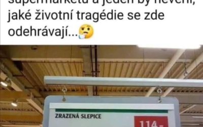 Zrazená slepice