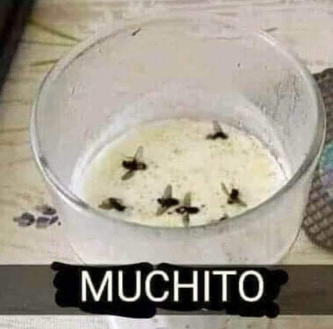 Muchito